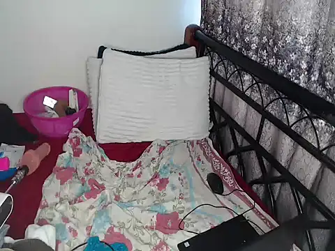Snapshot of Whimsicalwillow chatting on June 2026 10:09:01 AM Whimsicalwillow online show from June 2026 10:09:01 AM