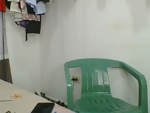 the geisha 2021k online show from November 2025 03:07:01 AM