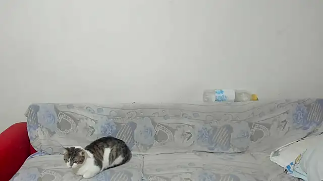 ANGELALEXYNO2024 online show from February 2025 08:26:02 AM