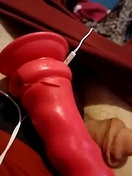 Snapshot of SolitaryMisfit8 chatting on September 2025 10:11:01 PM SolitaryMisfit8 online show from September 2025 10:11:01 PM