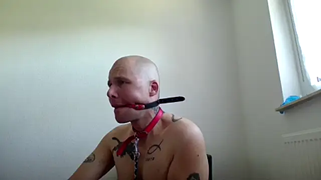 gaywolf426 online show from July 2026 09:07:01 AM