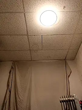 Armyexhibitionistvet online show from April 2026 07:17:02 AM