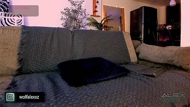 alex wolf  online show from February 2025 02:04:02 AM