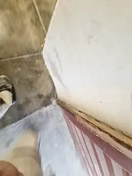 Snapshot of robertilevis chatting on February 2026 08:58:02 AM robertilevis online show from February 2026 08:58:02 AM