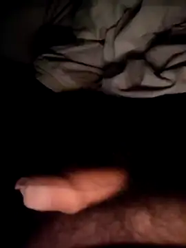 Snapshot of janos1112 chatting on January 2025 11:29:01 PM janos1112 online show from January 2025 11:29:01 PM