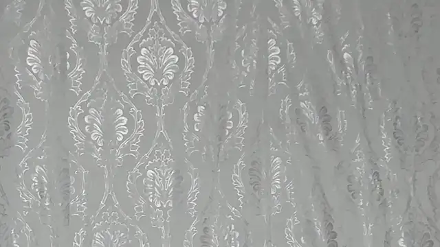 Bellacrox online show from November 2025 11:37:02 PM