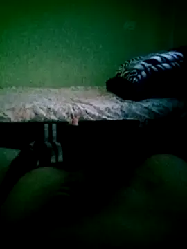 SOYMRX online show from December 2024 10:32:02 PM