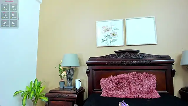 AriSweet online show from June 2026 12:14:02 PM