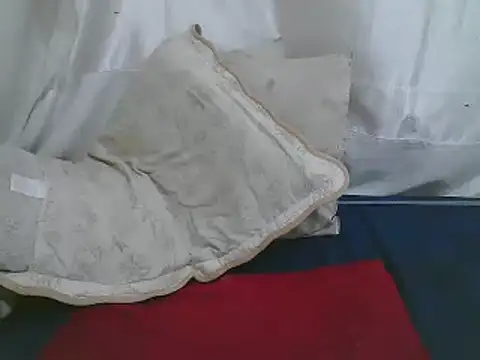 Snapshot of sweet-bery chatting on February 2025 09:28:01 PM sweet-bery online show from February 2025 09:28:01 PM