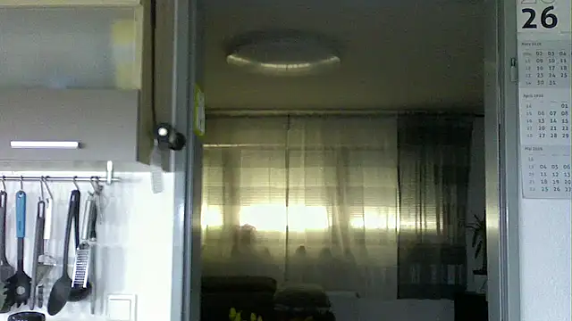Snapshot of pimmelmann3 chatting on April 2026 12:29:02 PM pimmelmann3 online show from April 2026 12:29:02 PM