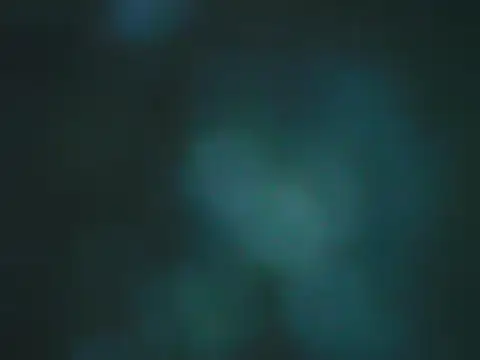 big-dick012 online show from January 2026 10:22:02 PM