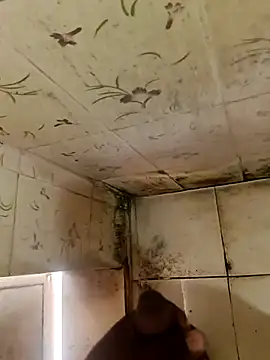 indiasexmf online show from October 2025 04:33:01 AM