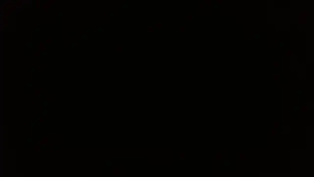 Mr WhiteCock online show from January 2025 04:46:02 PM