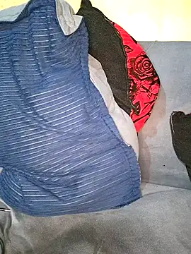 Snapshot of Tibenty chatting on January 2025 11:28:02 AM Tibenty online show from January 2025 11:28:02 AM