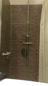 Snapshot of pachapeter chatting on January 2025 05:24:02 PM pachapeter online show from January 2025 05:24:02 PM