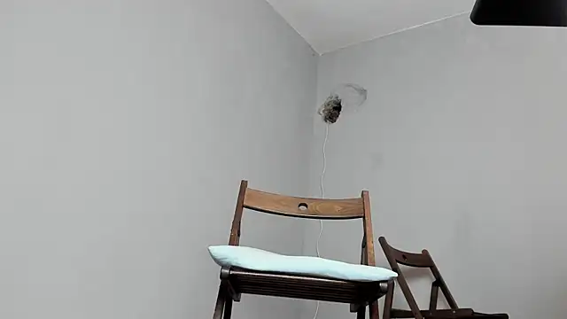 Master Mark Wayne online show from October 2025 06:52:01 PM