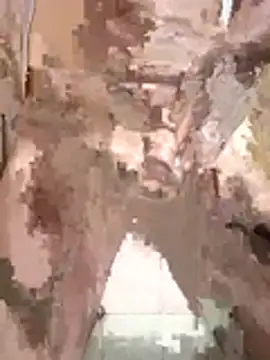 stud501 online show from February 2026 07:30:01 AM