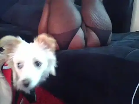 Snapshot of KikiLovesD chatting on December 2024 02:07:01 PM KikiLovesD online show from December 2024 02:07:01 PM