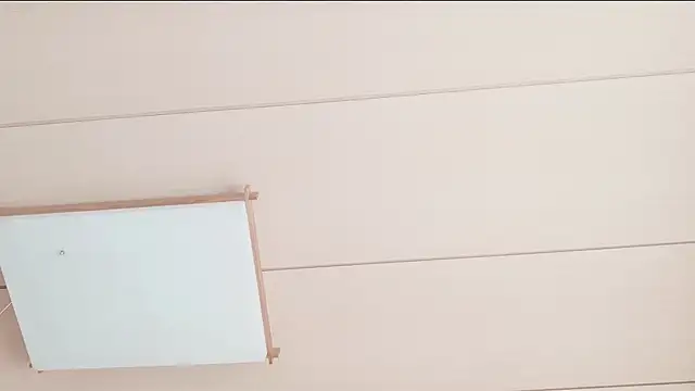 xxArisaxx online show from December 2025 05:45:02 AM