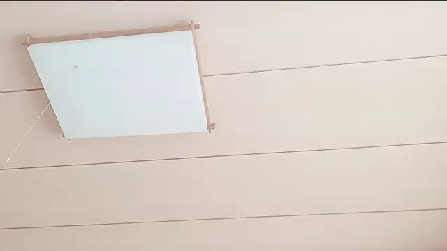 xxArisaxx online show from January 2026 06:04:01 AM