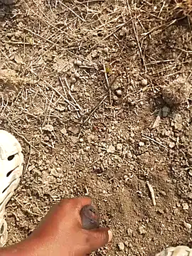 Ajith mvi online show from February 2026 03:35:02 AM