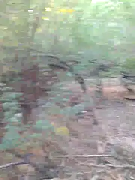 Ajith mvi online show from March 2026 02:44:02 AM