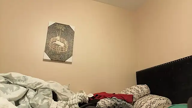 hailzeffn online show from November 2025 01:37:01 AM