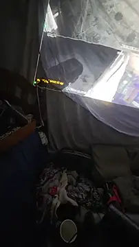 Tinydalldaylong online show from August 2026 08:05:02 AM