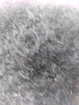 Snapshot of littlebrunett chatting on December 2024 02:27:02 PM littlebrunett online show from December 2024 02:27:02 PM