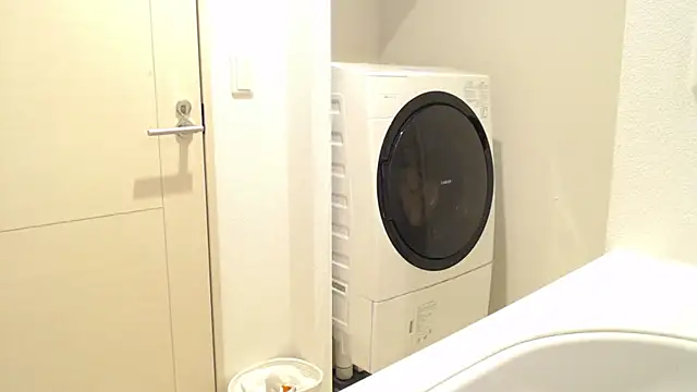 Kakushi dori online show from December 2024 05:00:01 PM