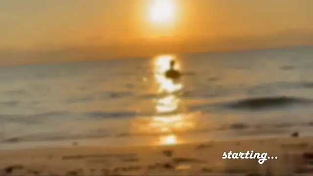 Liam Taylor online show from February 2025 12:00:02 PM