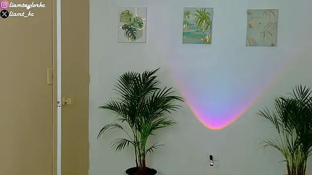 Liam Taylor online show from December 2025 10:19:01 PM