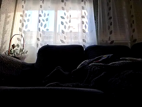 Javier bear online show from February 2025 02:46:02 PM