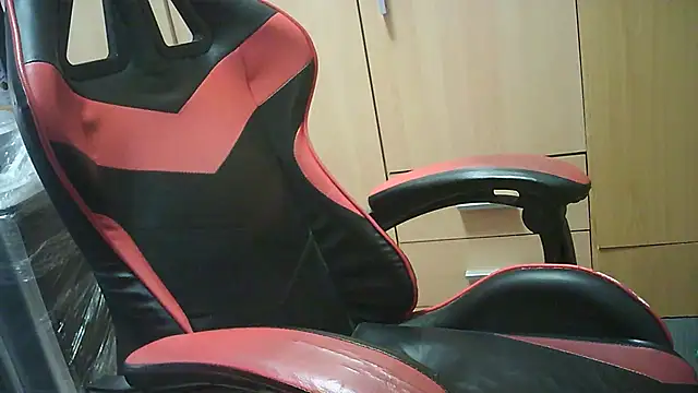 Javier bear online show from September 2025 10:05:02 AM