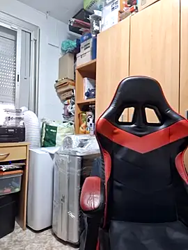 Javier bear online show from November 2025 02:07:02 PM