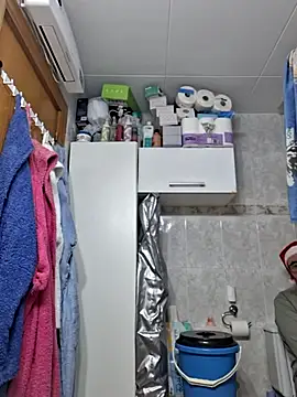 Javier bear online show from December 2025 01:40:02 PM