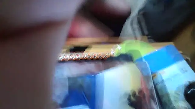 Javier bear online show from January 2026 09:40:02 PM