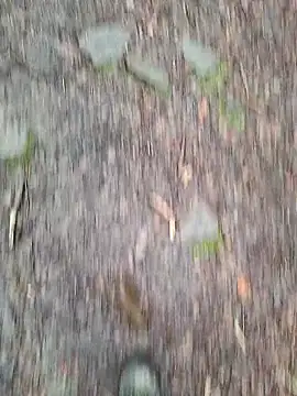 FreezingTie850 online show from March 2026 02:33:02 PM