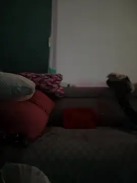 BigBoy420x online show from February 2025 05:04:02 AM