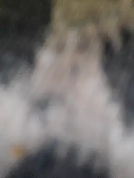 marcialoira online show from February 2025 10:12:01 PM