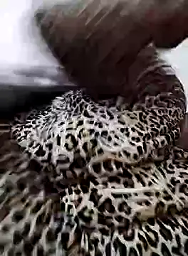 nayakaA7 online show from February 2025 06:59:01 PM