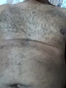 Sergipano fogozinho online show from March 2025 05:02:02 PM