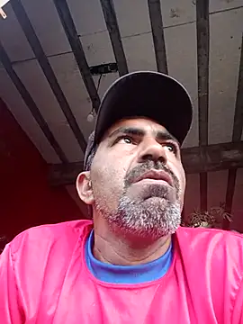 Sergipano fogozinho online show from October 2025 07:55:01 PM