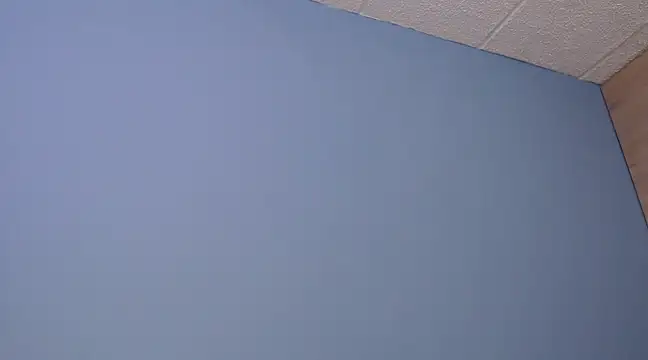 Lilly macflyy online show from December 2024 08:03:02 PM