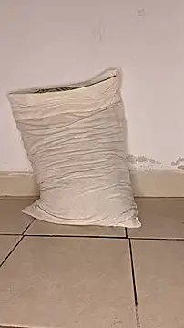 Snapshot of Perqueen chatting on November 2025 05:57:01 PM Perqueen online show from November 2025 05:57:01 PM