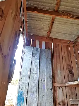 fernandes v online show from January 2025 04:03:01 PM