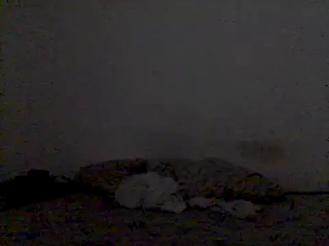 mariy  online show from March 2025 09:48:01 PM