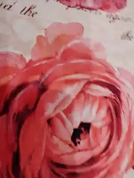 xxcatwomanxx online show from January 2025 06:03:02 PM