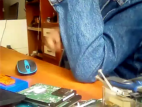 zormen355 online show from September 2025 08:30:01 AM