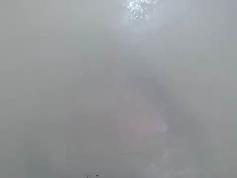 Rasta tattooed online show from March 2026 06:11:02 PM